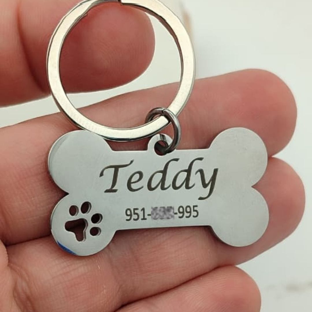 Placa para perros Grabadas Huesito Pequeño Placa Grabada para perros Huesito Pequeño Teddy