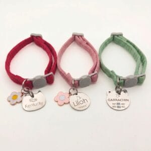 Collares para gatos con placa y nombre grabado