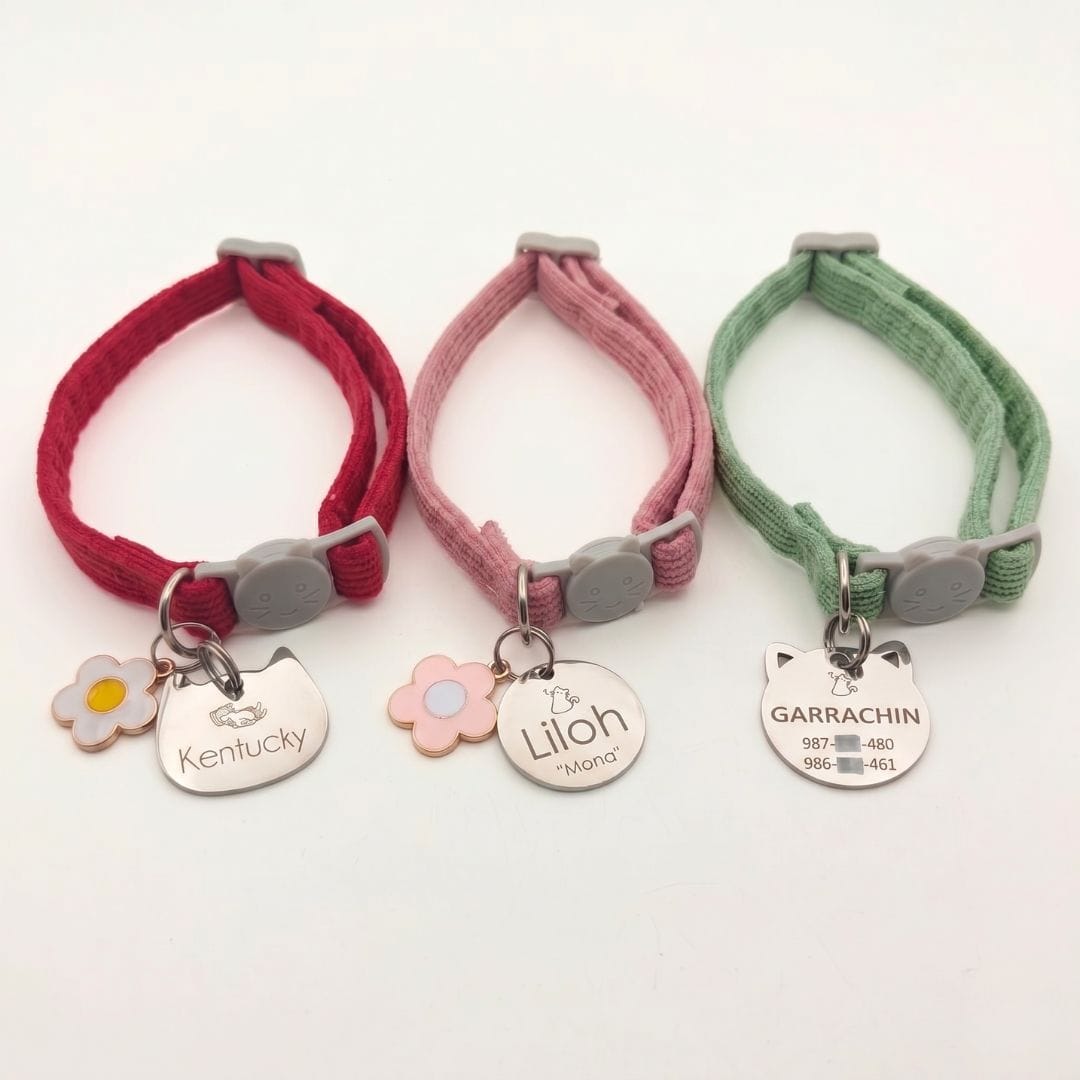 Collares para gatos con placa y nombre personalizada Collares para gatos con placa y nombre grabado