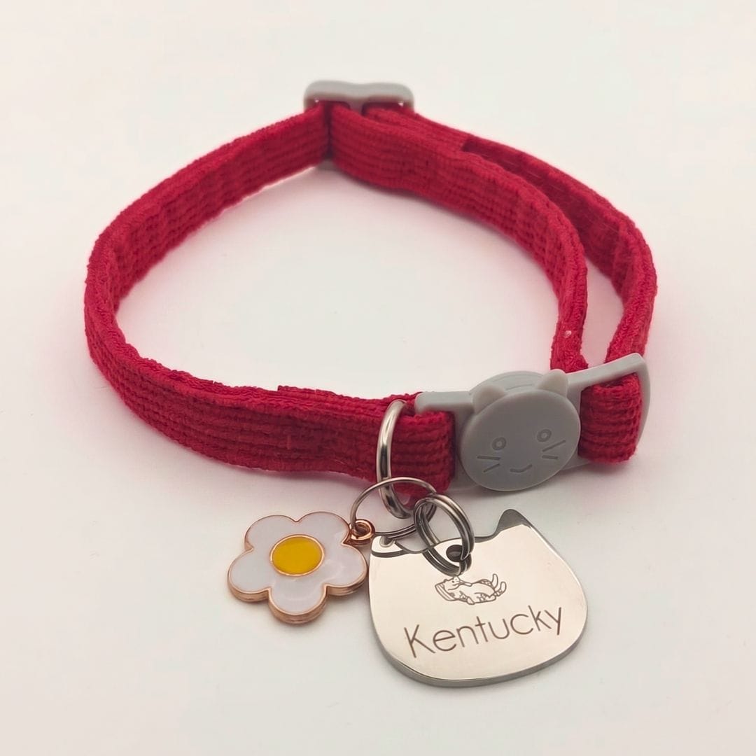 Collares para gatos con placa y nombre personalizada Collares para gatos con placa y nombre personalizada - Imagen 5